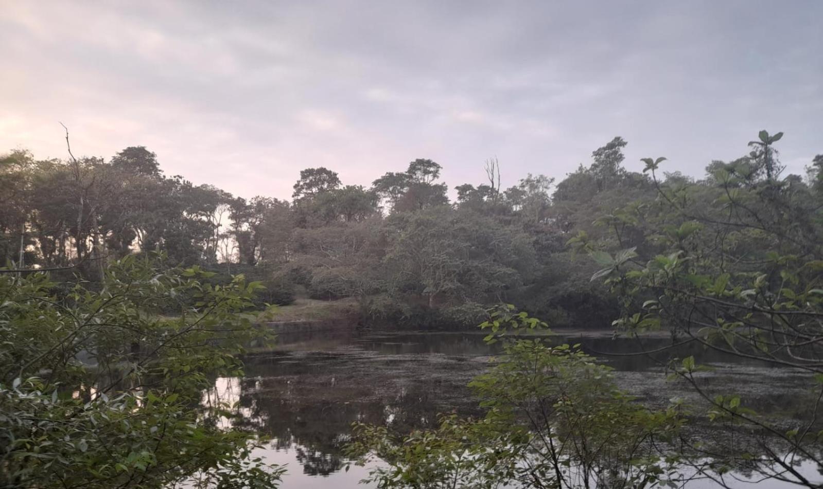 Shrenya Orchidz-Coorg Nature Stay Madikeri Exterior photo