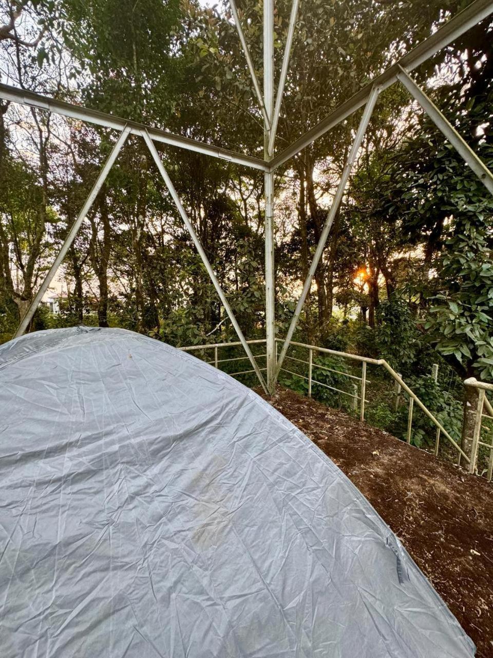 Shrenya Orchidz-Coorg Nature Stay Madikeri Exterior photo